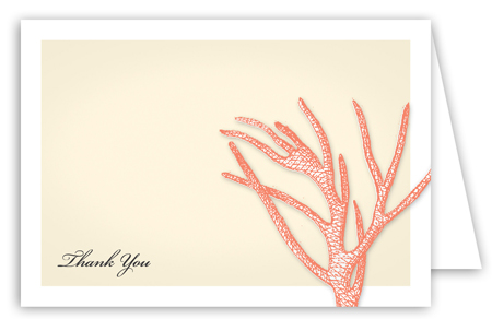 Summer Coral Note Card