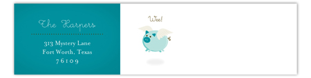 When Teal Pigs Fly Envelope Wrap