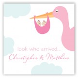 Twin Girl Stork in the Sky Gift Tag