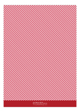 Candy Cane Stripes Photo Card