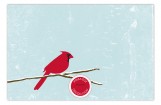 Seasonal Songbird Photo Card