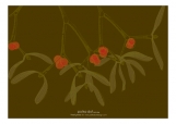 Under the Mistletoe Photo Card