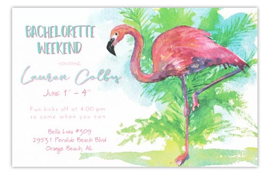 3A434-flamingo-Tango New Releases from Odd Balls Invitations in Pine Bluff, Arkansas