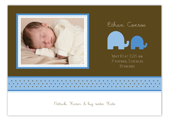 Elephants in Blue Photo Card