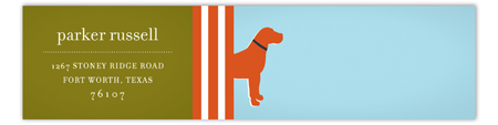 Orange Dog Days Envelope Wrap