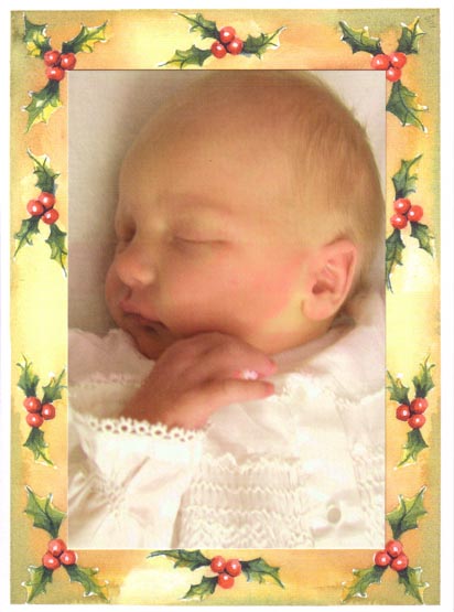 Parchment Holly Photo Card