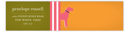 Pink Dog Days Envelope Wrap