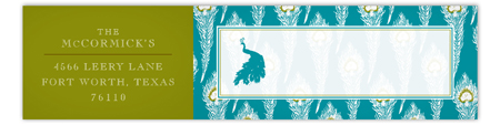 Turquoise Peacock Envelope Wrap