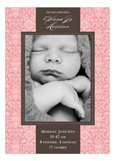 Damask Greeting Girl Photo Card