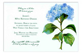 French Blue Invitation