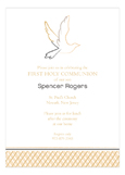 Neutral Dove Invitation