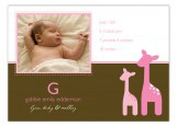 Pink Onlooking Giraffes Photo Card