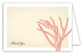 Summer Coral Note Card