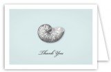 Summer Seashells Note Card