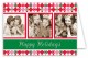 Festive Season Holiday Photo Card
