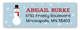 Mister Snowman Address Label